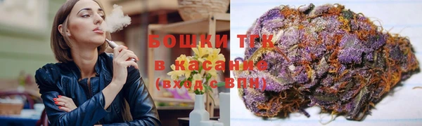 прущие грибы Вязники