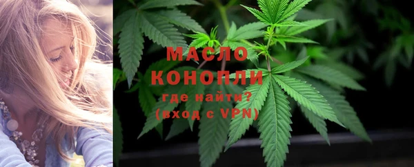 прущие грибы Вязники