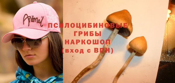 молекула духа Горнозаводск