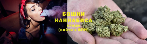 прущие грибы Вязники