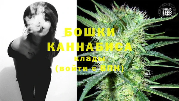 прущие грибы Вязники