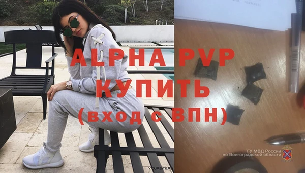прущие грибы Вязники