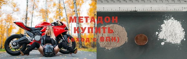 прущие грибы Вязники