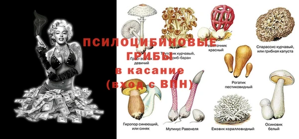прущие грибы Вязники